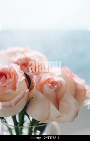 Rosa rosa rosa tenue in vaso sul davanzale. Composizione minima. Idea astratta dell'arte del bouquet di fiori. Romantica composizione rosa pastello fiore rosa. Moder Foto Stock