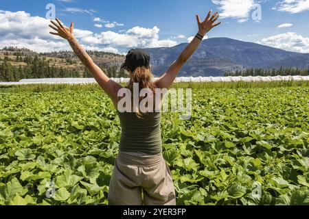 Una ragazza caucasica con tatuaggi braccia è vista dal retro come lei alza le braccia in alto in aria. Durante una giornata estiva soleggiata in Okanagan Valley campi Foto Stock