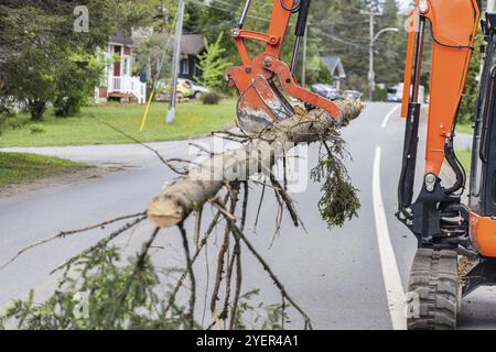 Vista laterale mentre una scavatrice idraulica trasporta un tronco di albero su una strada suburbana, sgombrare dopo che la tempesta causa danni e interruzioni locali. Con spazio di copia Foto Stock