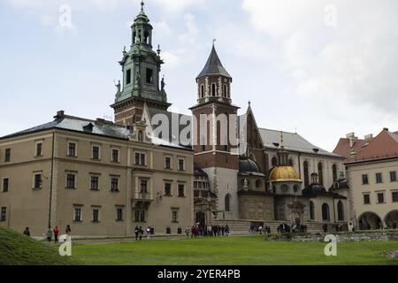 Vista estiva del Castello reale di Wawel a Cracovia, Polonia. Sito storicamente e culturalmente importante in Polonia. Fiori in primo piano. Bella vista Foto Stock