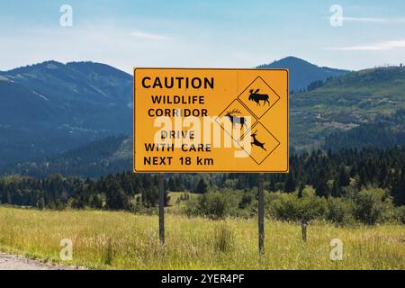 Grande giallo di avvertimento cartello stradale, attenzione wildlife corridoio guidare con attenzione il prossimo 18 km, con il cervo e alce elk e simboli di attraversamento, strada canadese Foto Stock