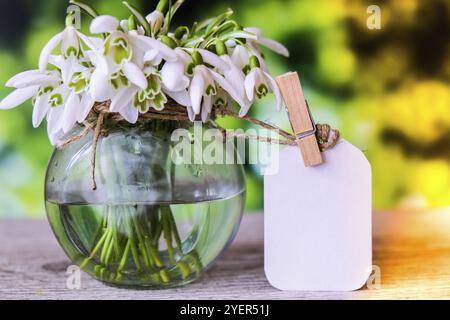 Bouquet di gocce di neve in un vaso di vetro con acqua. Spazio di copia per il testo. Fallo con un tag. Fiori primaverili. Biglietto d'auguri per le festività Foto Stock