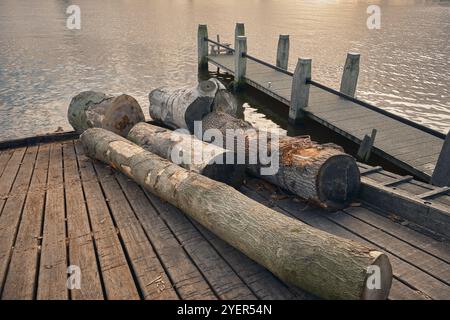 Alcuni grandi tronchi di alberi pronti per essere segati davanti alla segheria Het Jonge Schaap sulla Zaanse Schans a Zaandam, nei Paesi Bassi. Foto Stock