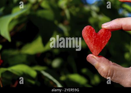 Cibo estivo di stagione. Succosa fetta di anguria rossa tagliata a forma di cuore all'aperto durante le vacanze estive, raggi del sole. Concetto di godersi il momento all'aria aperta Foto Stock