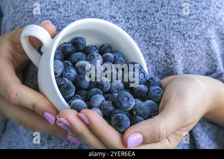 Donna che tiene ciotola con frutti di mirtillo congelati. Concetto di mietitura. Mani femminili raccogliendo bacche. Concetto di cibo sano. Stoccaggio di bacche per Foto Stock