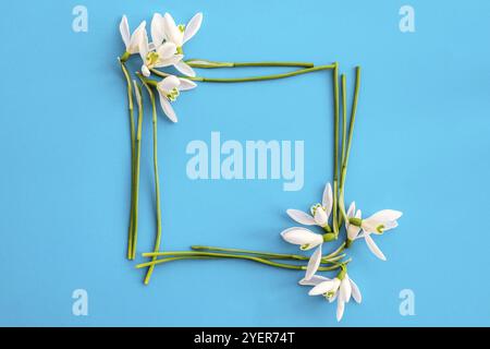 Composizione piatta con fiori di neve su sfondo a colori, spazio di copia per il testo. Telaio quadrato in rossetto. Biglietto d'auguri per il mock-up delle festività Foto Stock