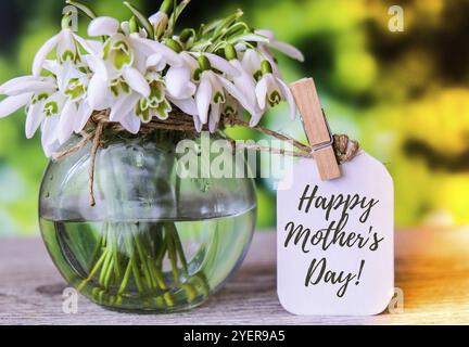 Biglietto d'auguri per la scritta Happy Mothers Day. Primavera fiori spazzaneve. Migliore mamma di sempre. Bel bouquet tenero di fiori. Concetto di vacanza. Modalità creativa Foto Stock