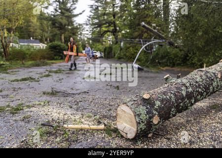 Ripresa selettiva del tronco abbattuto in mezzo alla strada, con segatura mentre i chirurghi degli alberi sfocati lavorano per liberare la strada sullo sfondo dopo la tempesta Foto Stock