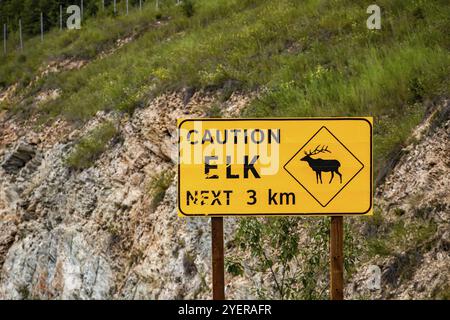 Strada avvertenza e attenzione cartello giallo, elk attraversamento strada vicino a 3 km con simbolo di elk, canadese paese rurale strada, con pendio roccioso sfondo Foto Stock