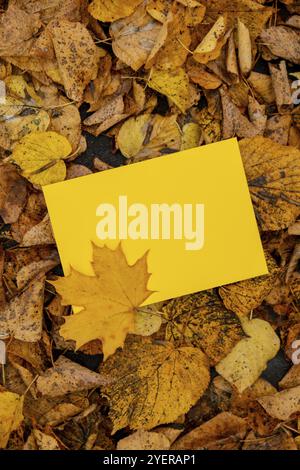 Le buste gialle vuote si ispirano alle colorate foglie autunnali. Scheda modello. Foglie d'albero d'oro. Bellissimo albero con foglie gialle in autunno Foto Stock