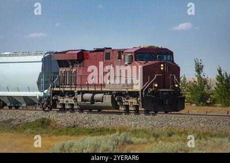 Locomotiva d'epoca di un treno merci della Canadian National Railways che trasporta un carro in campagna. Verniciato di rosso scuro con fari accesi Foto Stock