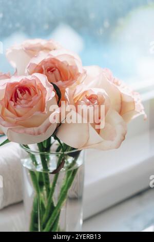 Rosa rosa rosa tenue in vaso sul davanzale. Composizione minima. Idea astratta dell'arte del bouquet di fiori. Romantica composizione rosa pastello fiore rosa. Moder Foto Stock