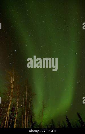 Canada / Aurora Borealis a Yellowknife Foto Stock