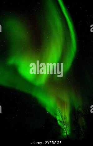 Canada / Aurora Borealis a Yellowknife Foto Stock