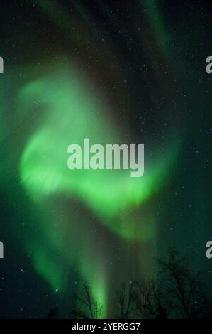 Canada / Aurora Borealis a Yellowknife Foto Stock