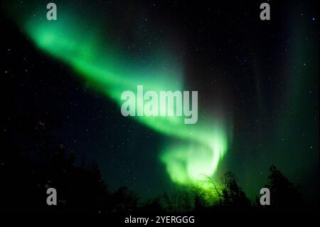 Canada / Aurora Borealis a Yellowknife Foto Stock