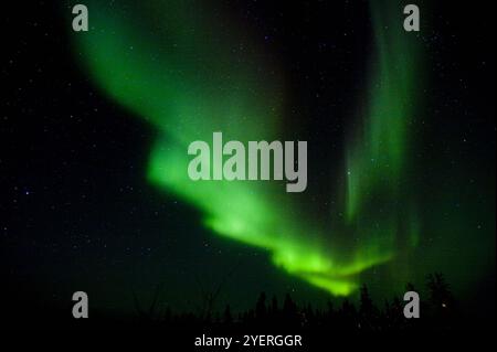 Canada / Aurora Borealis a Yellowknife Foto Stock