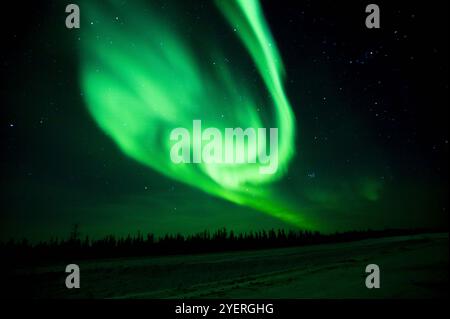 Aurora boreale a Yellowknife, Canada Foto Stock