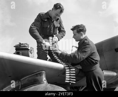 Equipaggio di terra che caricava cinture di munizioni su un Hawker Tempest, un aereo da caccia britannico utilizzato principalmente dalla Royal Air Force (RAF) nella seconda guerra mondiale e uno dei caccia più potenti della seconda guerra mondiale; a bassa quota era il più veloce velivolo monomotore ad elica della guerra. È entrato in servizio nel 1944, ed è stato particolarmente efficace contro la minaccia di bombardamenti volanti V-1, e attacchi a terra che supportavano le principali invasioni come l'operazione Market Garden. Foto Stock