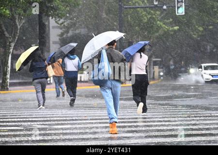 Shanghai, Cina. 1 novembre 2024. Le persone attraversano una strada sotto la pioggia a Shanghai, Cina orientale, 1 novembre 2024. Il National Meteorological Center ha emesso un allarme blu per il Typhoon Kong-rey venerdì mattina, prevedendo piogge torrenziali nelle regioni orientali di livello provinciale, tra cui Zhejiang, Jiangsu e Shanghai, da venerdì pomeriggio a sabato. Parti di Jiangsu e Shanghai potrebbero sperimentare downpours da 100 a 120 millimetri. Crediti: Chen Haoming/Xinhua/Alamy Live News Foto Stock