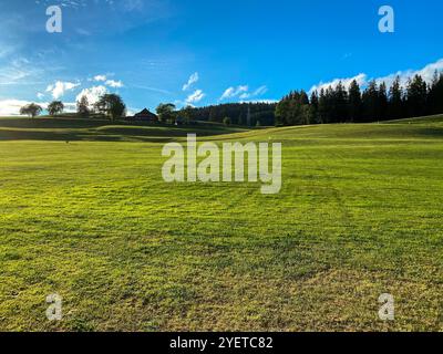 Vista di un campo da golf con una fattoria contro la foresta e il cielo nell'estate 2020, vicino al villaggio di Hinterzarten Foto Stock