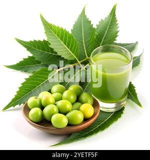 Estratto medicinale di neem con frutta e foglie isolate su sfondo bianco Foto Stock