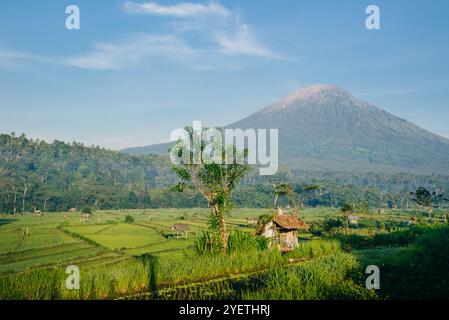 Vista aerea del monte Agung e delle risaie, Karangasem, Bali, Indonesia. Foto di alta qualità Foto Stock