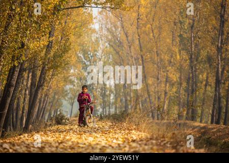 Un bambino Kashmiri guarda, sulla sua bicicletta circondato da alberi gialli durante una giornata autunnale nella periferia di Srinagar. L'autunno nel Kashmir, localmente conosciuto come "Harud", trasforma la valle in una vivace tela di tonalità rosse, arancioni e gialle. L'autunno è una stagione di raccolta in Kashmir, che inizia a settembre e dura fino a novembre. (Foto di Faisal Bashir / SOPA Images/Sipa USA) Foto Stock