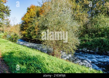 Fiume Wurm con acqua che scorre veloce su pietre, erba selvatica sulla riva, riserva naturale con alberi autunnali con fogliame verde giallastro sullo sfondo, soleggiato Foto Stock