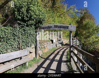 Algund, Südtirol, Italien 30. Ottobre 2024: Ein Herbsttag bei Algund, Lagundo bei Merano. Hier der Blick auf den Zugang zum Algunder Waalweg auf der Töll, Schild, Schriftzug, wandern, spazieren, Herbstlich *** Algund, alto Adige, Italia 30 ottobre 2024 una giornata autunnale nei pressi di Algund, Lagundo vicino a Merano qui la vista dell'accesso al Waalweg Algunder sul Töll, insegna, scritta, escursioni, passeggiate, autunnale Foto Stock