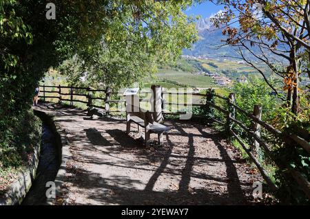 Algund, Südtirol, Italien 30. Ottobre 2024: Ein Herbsttag bei Algund, Lagundo bei Merano. Hier der Blick auf den Algunder Waalweg mit einer Parkbank, Holzbank zum ausruhen, Ausblick geniessen, sitzen, Rasten, Wandern, spazieren **** Algund, alto Adige, Italia 30 ottobre 2024 una giornata autunnale nei pressi di Algund, Lagundo nei pressi di Merano qui la vista del Waalweg Algunder con una panchina del parco, panchina di legno per riposare, godersi il panorama, sedersi, riposare, fare escursioni, cammina Foto Stock