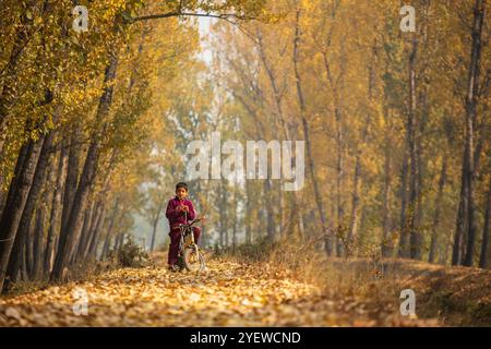 Srinagar, Jammu e Kashmir, India. 1 novembre 2024. Un bambino Kashmiri guarda, sulla sua bicicletta circondato da alberi gialli durante una giornata autunnale nella periferia di Srinagar. L'autunno nel Kashmir, localmente conosciuto come ''Harud'', trasforma la valle in una vivace tela di tonalità rosse, arancioni e gialle. L'autunno è una stagione di raccolta in Kashmir, che inizia a settembre e dura fino a novembre. (Immagine di credito: © Faisal Bashir/SOPA Images via ZUMA Press Wire) SOLO PER USO EDITORIALE! Non per USO commerciale! Crediti: ZUMA Press, Inc./Alamy Live News Foto Stock