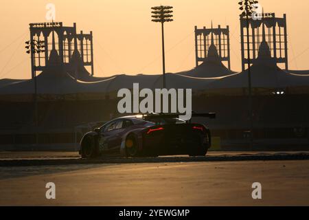 Sakhir, Bahrein. 1 novembre 2024. Iron Dames No.85 - Lamborghini Huracan LMGT3 Evo2, Sarah Bovy (BEL), Rahel Frey (CHE), Michelle Gatting (DNK) durante le qualifiche. Ahmad al Shehab/Alamy Live News. Foto Stock