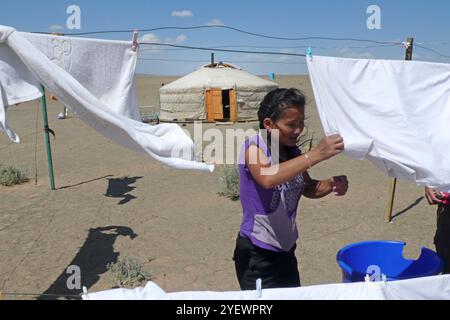 Lavanderia. Deserto del Gobi. Mongolia Foto Stock