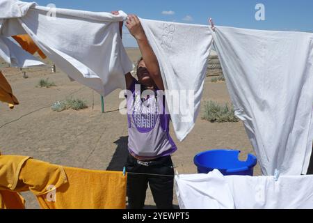 Lavanderia. Deserto del Gobi. Mongolia Foto Stock