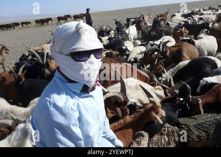 Pastori. Deserto del Gobi. Mongolia Foto Stock