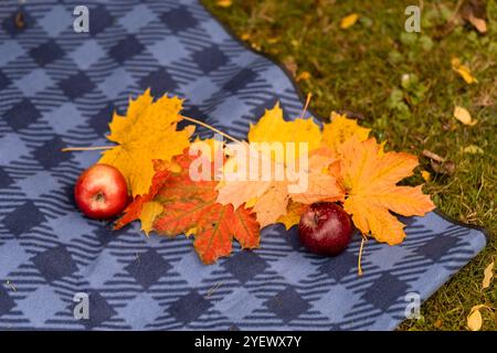 Le colorate foglie autunnali e le mele rosse sono disposte ordinatamente su una coperta a motivi blu, situata sull'erba verde, a creare un'atmosfera accogliente all'aperto. Foto Stock