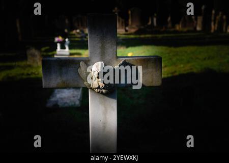 Pamplona, Spagna. 1 novembre 2024. Particolare della tomba di un bambino nel cimitero di Pamplona durante la celebrazione del giorno di Ognissanti. Ogni 1 novembre, nella religione cattolica, si celebra il giorno di Ognissanti, un'usanza cristiana dove i fedeli si recano nei cimiteri per portare fiori ai loro cari che non sono più tra i vivi. Credito: SOPA Images Limited/Alamy Live News Foto Stock