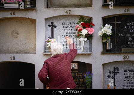 Pamplona, Spagna. 1 novembre 2024. Una signora tocca la tomba di suo marito nel cimitero di Pamplona, durante la celebrazione del giorno di Ognissanti. Ogni 1 novembre, nella religione cattolica, si celebra il giorno di Ognissanti, un'usanza cristiana dove i fedeli si recano nei cimiteri per portare fiori ai loro cari che non sono più tra i vivi. Credito: SOPA Images Limited/Alamy Live News Foto Stock