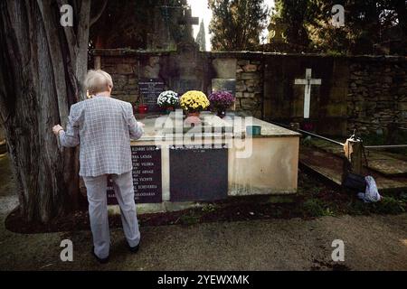 Pamplona, Spagna. 1 novembre 2024. Una signora decora la tomba dei suoi parenti con fiori nel Cimitero di Pamplona, durante la celebrazione del giorno di Ognissanti. Ogni 1 novembre, nella religione cattolica, si celebra il giorno di Ognissanti, un'usanza cristiana dove i fedeli si recano nei cimiteri per portare fiori ai loro cari che non sono più tra i vivi. Credito: SOPA Images Limited/Alamy Live News Foto Stock