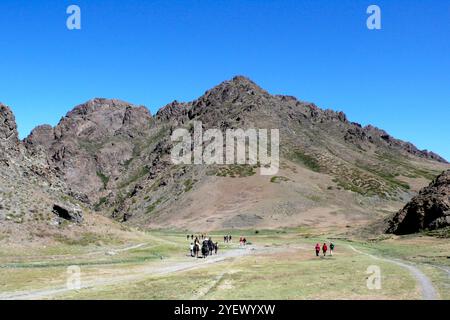 Yol Valley. Deserto del Gobi. Mongolia Foto Stock