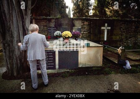 Pamplona, Spagna. 1 novembre 2024. Una signora decora la tomba dei suoi parenti con fiori nel Cimitero di Pamplona, durante la celebrazione del giorno di Ognissanti. Ogni 1 novembre, nella religione cattolica, si celebra il giorno di Ognissanti, un'usanza cristiana dove i fedeli si recano nei cimiteri per portare fiori ai loro cari che non sono più tra i vivi. (Foto di Elsa A Bravo/SOPA Images/Sipa USA) credito: SIPA USA/Alamy Live News Foto Stock