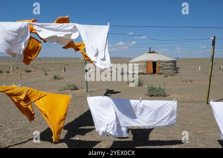 Lavanderia. Deserto del Gobi. Mongolia Foto Stock