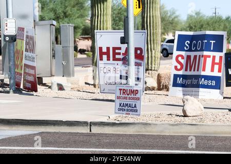 I segnali politici per le elezioni generali del 5 novembre possono essere visti lungo una strada trafficata a Mesa, Arizona. Foto Stock