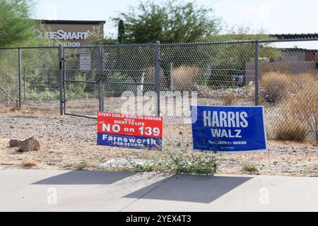 I segnali politici per le elezioni generali del 5 novembre possono essere visti lungo una strada trafficata a Mesa, Arizona. Foto Stock