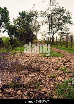 Una tipica strada rurale fatta di ghiaia e pietre in una mattina nebbiosa, negli altopiani orientali della Colombia centrale, vicino alla città di Arcabuco. Foto Stock