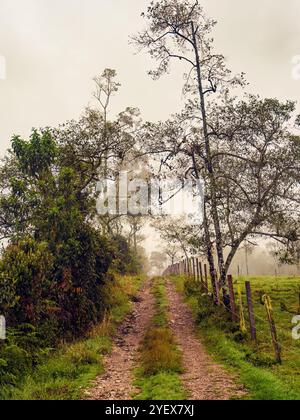 Una tipica strada rurale fatta di ghiaia e pietre in una mattina nebbiosa, negli altopiani orientali della Colombia centrale, vicino alla città di Arcabuco. Foto Stock