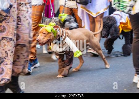 Un cane vestito con un divertente costume verde cammina accanto alle persone in un vivace evento o sfilata all'aperto, catturando l'atmosfera festosa Foto Stock