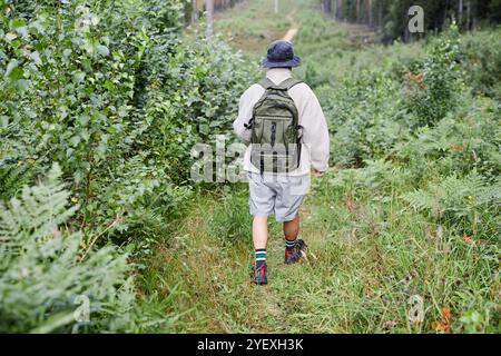 Vista a tutta lunghezza sul retro dell'irriconoscibile turista maschile che cammina lungo il sentiero della foresta con alberi verdi alla scoperta di nuovi spazi per copiare i sentieri Foto Stock