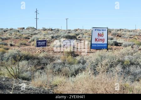 I segni politici per le elezioni generali del 5 novembre possono essere visti lungo AZ 377 in Arizona. Foto Stock